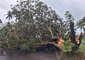 20260407133805 media 69d45f98c52124 01995014