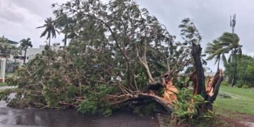 20260407133805 media 69d45f98c52124 01995014