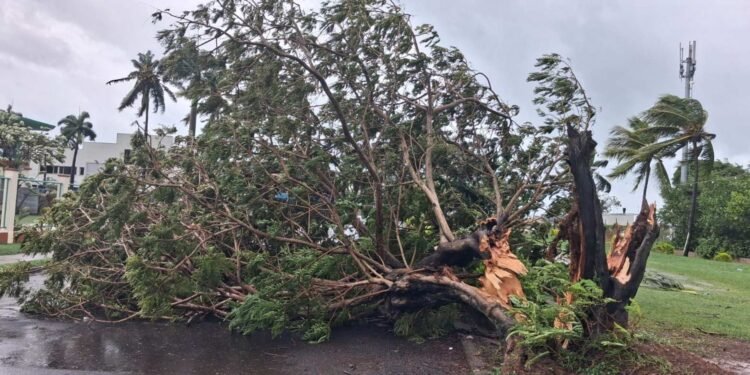 20260407133805 media 69d45f98c52124 01995014